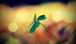 广州空气治理公司排名,广州空气环境