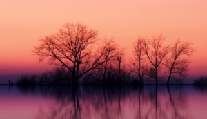 环保代理公司有哪些比较好的名字呢,环保公司的名称有哪些