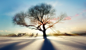 广州空气治理公司排名,广州空气环境